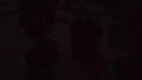 The Disappearing Daylight Moon