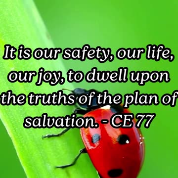 ELLEN G WHITE QUOTES