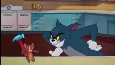 Crazy cartoon Tom and jerry