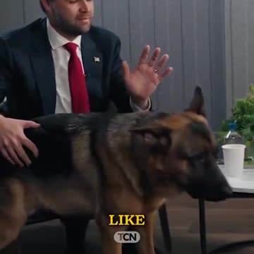 Regarding J.D. Vance's Rent-a-Dog