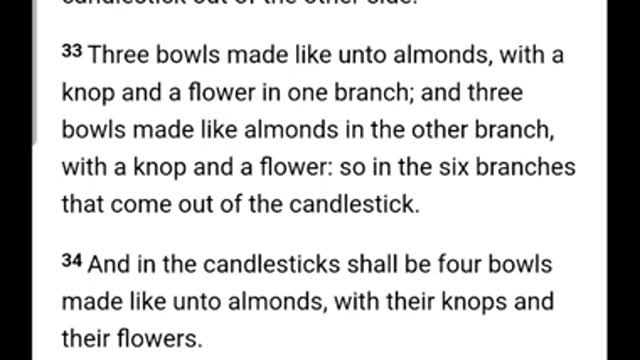 ISRAELITE CULTURE AND CUSTOMS:THE MENORAH