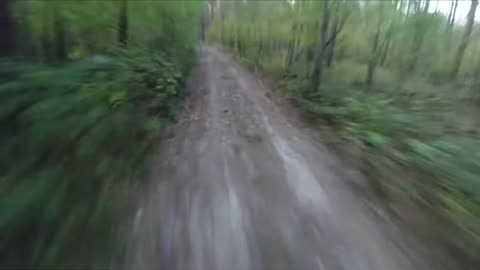 Biker chased by bear