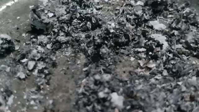 granules of a cigarette smoke