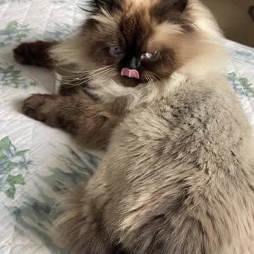 Kiki says “Don’t Stare at Me”