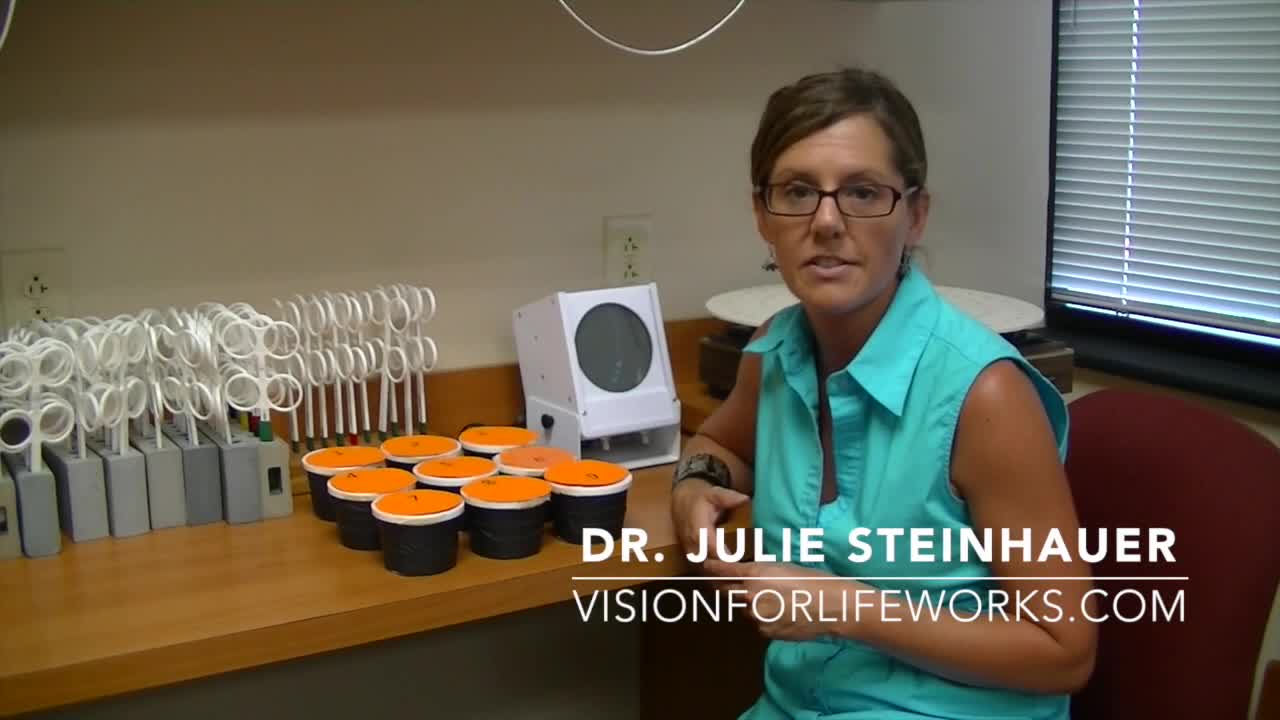 Addressing Multi Senses in Vision Therapy