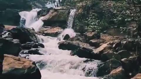 Nature