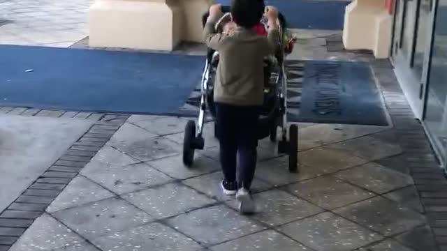 Mikey on a stroller walk