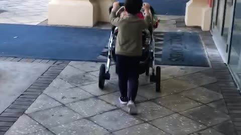 Mikey on a stroller walk