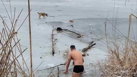 Dog Gets Stuck In A Water Dam