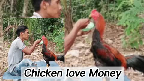 Chicken Money🙉🙉🐔🐔🐓🐓🐓🐦🐦🐦🐦🐦🐓🐓🐓🐓🐓🐓🐔🐣🐤🐥🐓