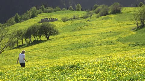 Woman walk alone in a meadow with yellow flowers