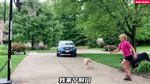 TRY NOT TO LAUGH🤣🤣🤣Funny fails compilation