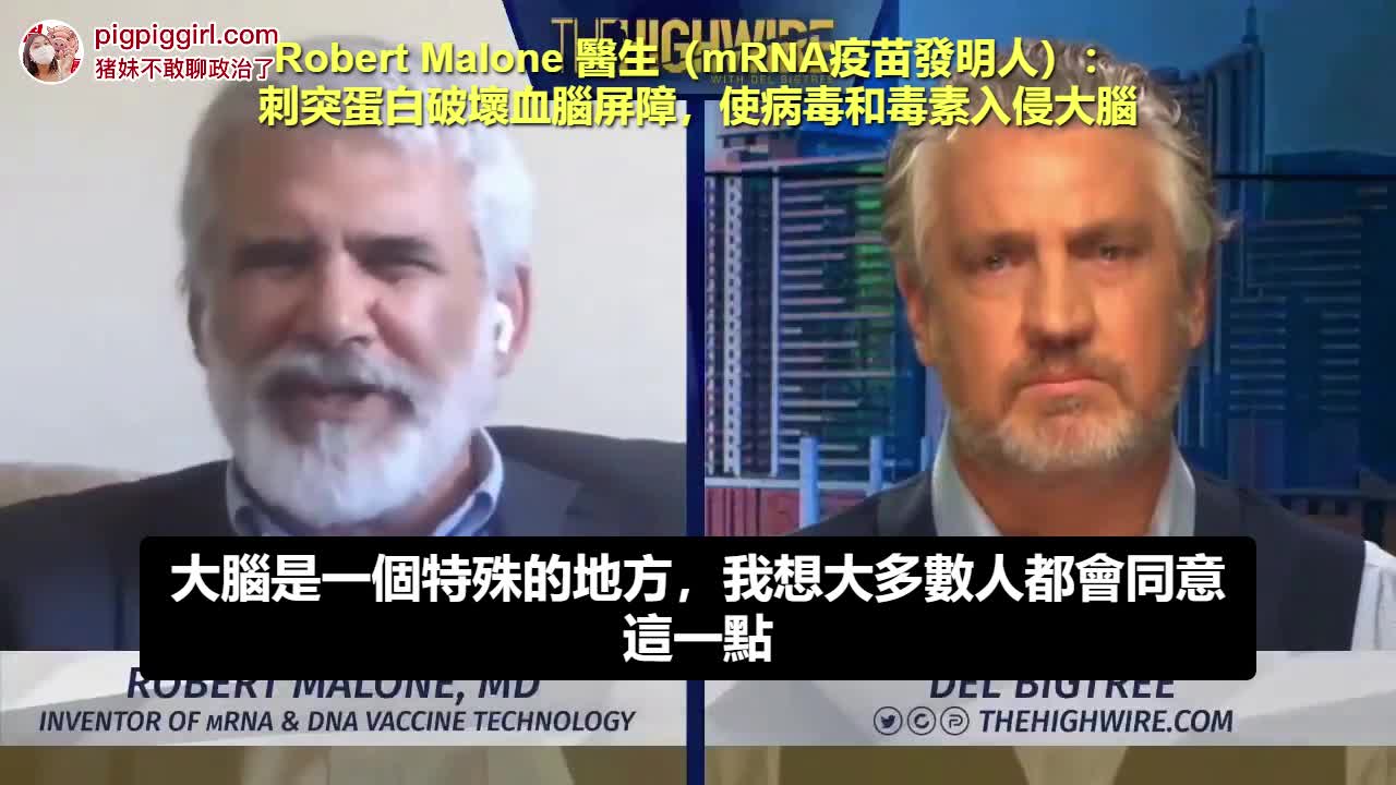 “Spike Protein刺突蛋白破壞血腦屏障，使病毒、毒素侵犯大腦”，Dr.Robert Malone（mRNA疫苗技術發明人）～