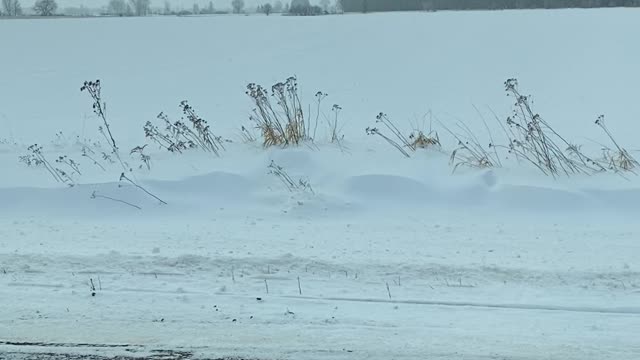 Amish water skiing