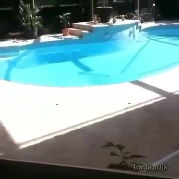 Sound ON, never sneeze next to a cat