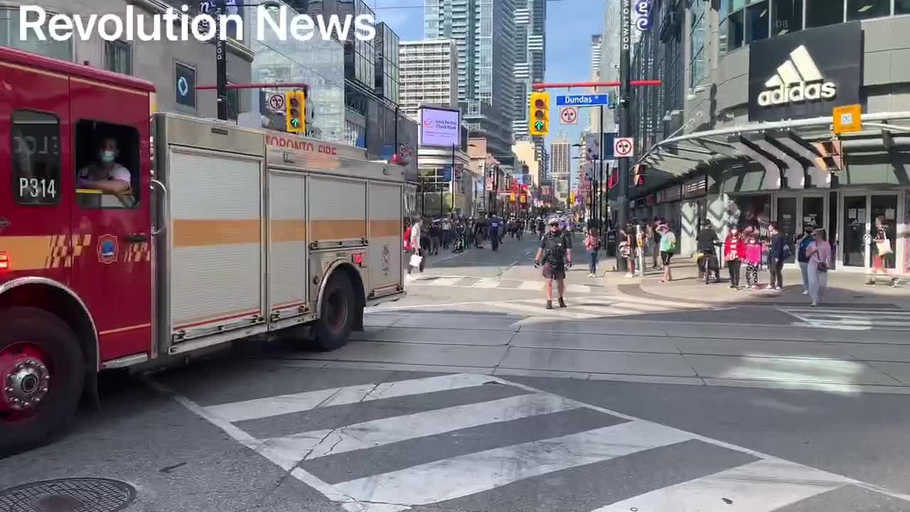 Toronto freedom protest