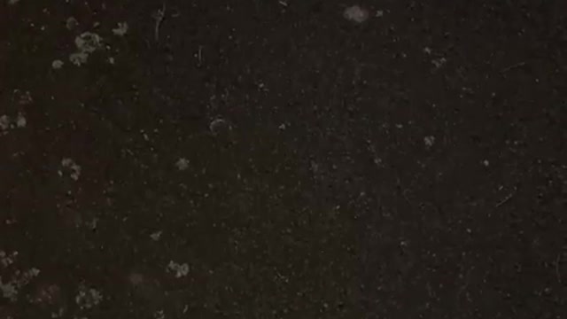 Charles Stedmon Bromsgrove