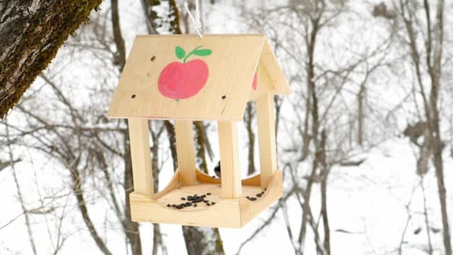 Birds feeding on a snowy day - With great music