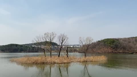 Dongtan lake park