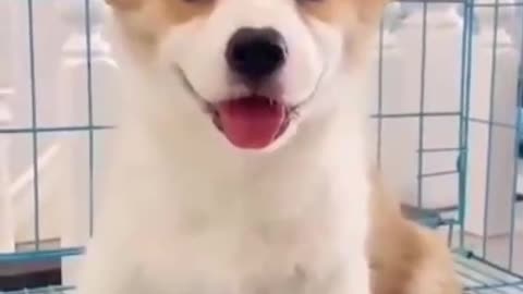 here comes the cutie