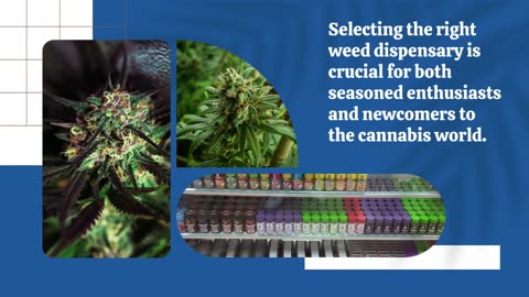 Dispensary Near Me