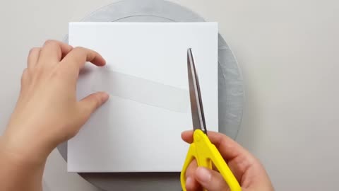Put In Two Transparent Rectangles