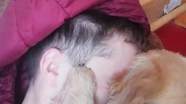 💗 💗💗💗my dog ​​loves kissing me💗💗💗💗💗