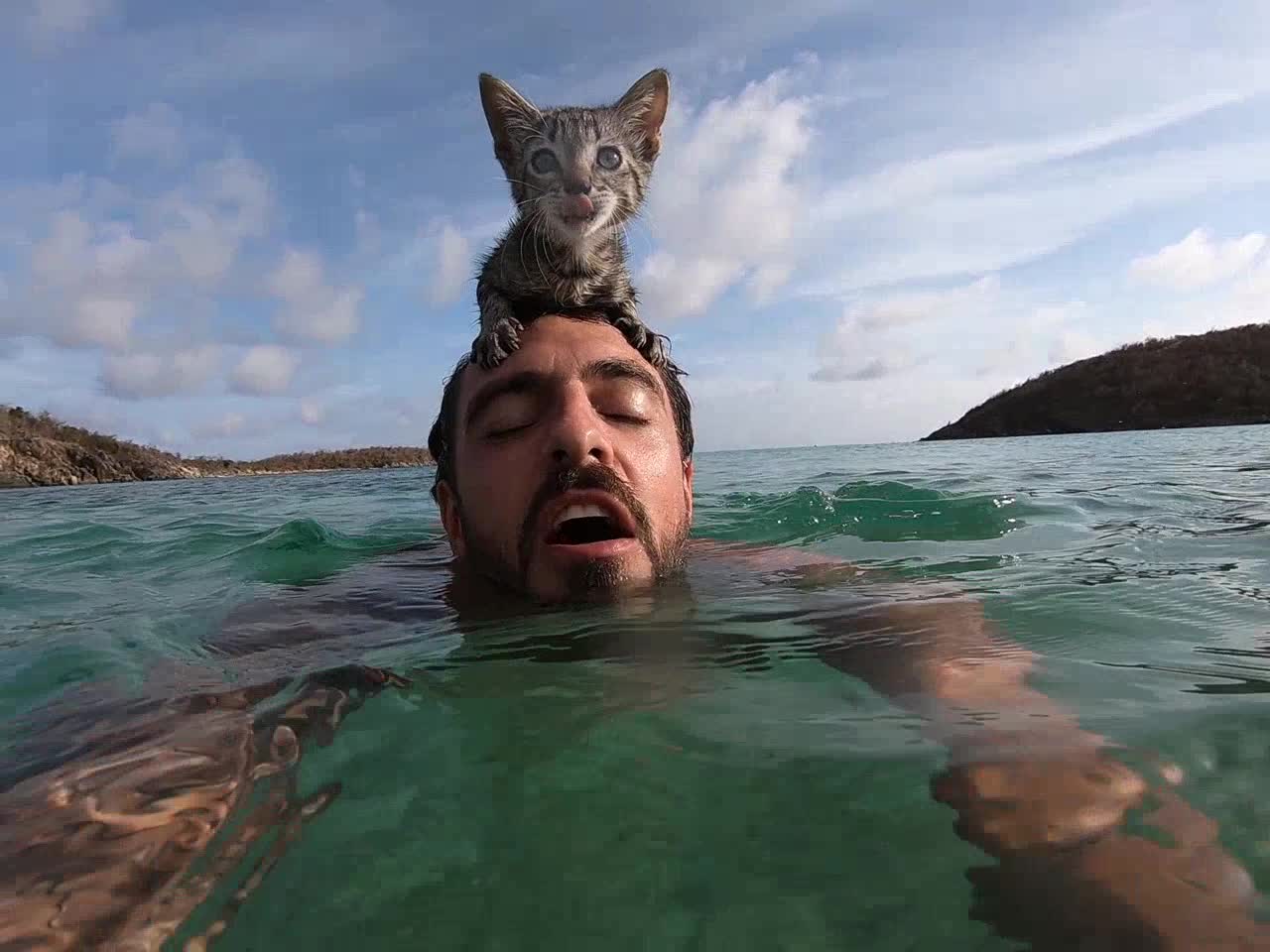 Gracie stands on my head