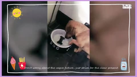 Funny 🤣 video