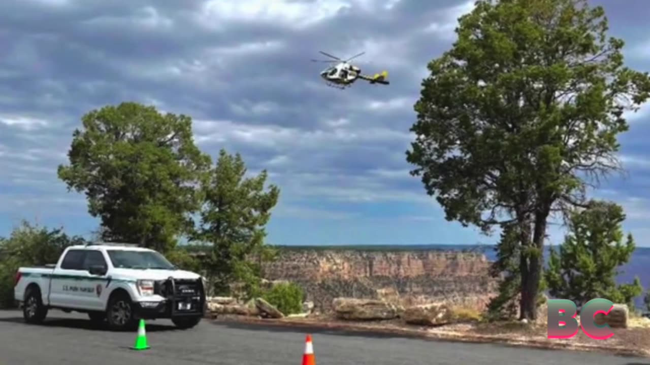 Third body recovered from Grand Canyon in one week as officials review deaths