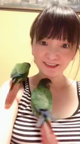 GCC pressured to play