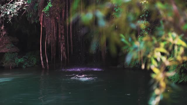 Beautiful natural bath in forest