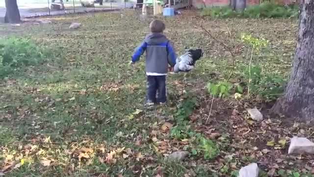 Funny Chickens Chasing Troll Babies and Kids|| Funny Baby And Pet