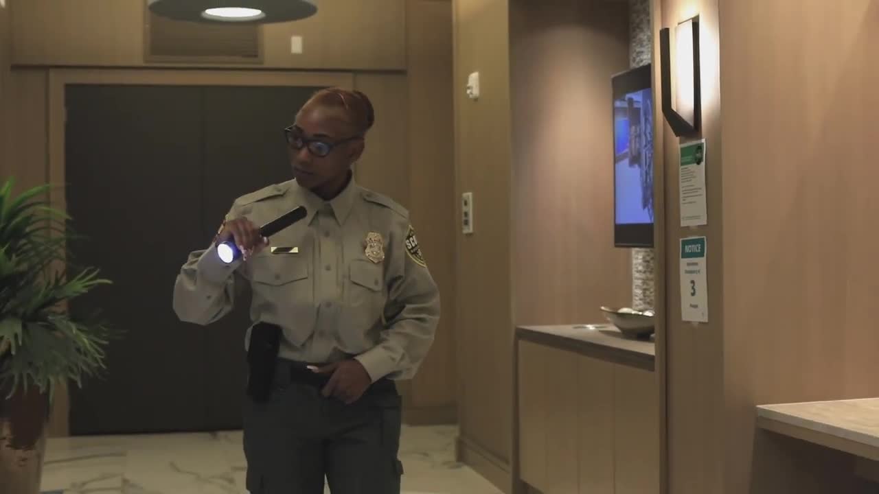 Scout Security Services