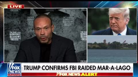 Bongino