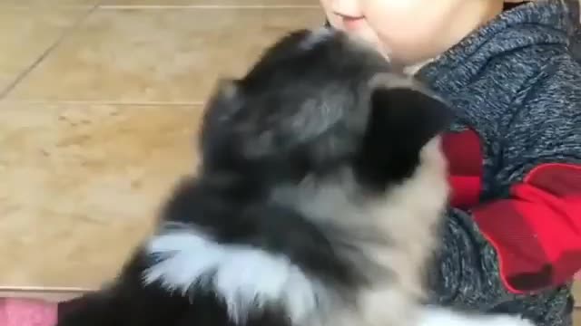 Puppies and Babies are the perfect combo.