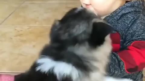 Puppies and Babies are the perfect combo.