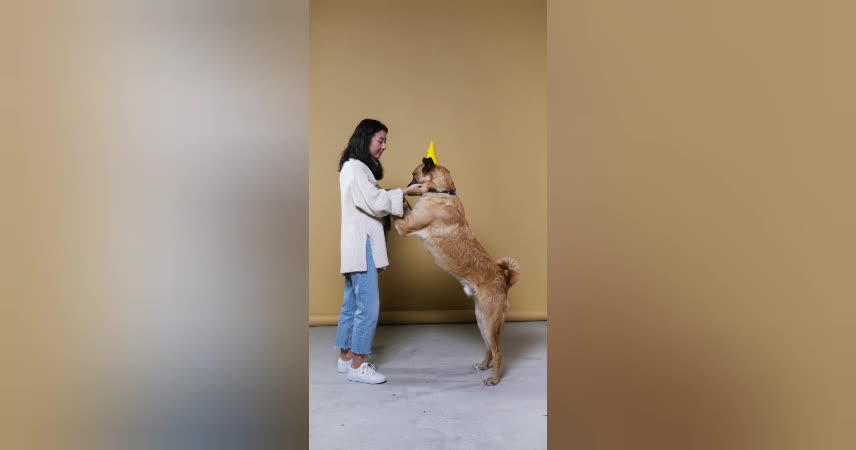 Women Hugging a Dog