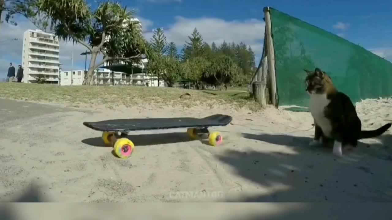 Little baby, this skateboard is really good!