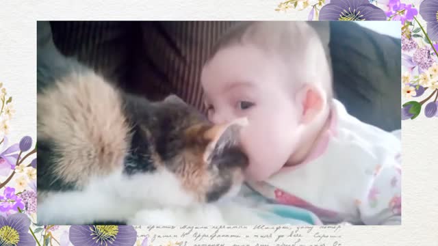 Baby and Cat Fun and Cute #2