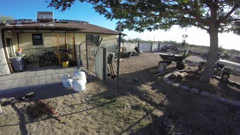 Putting up a Temporary Fence so the dogs do not get out!!