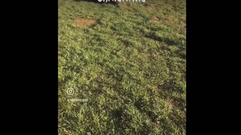 Being the gift that I am