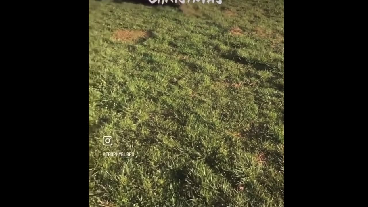 Being the gift that I am