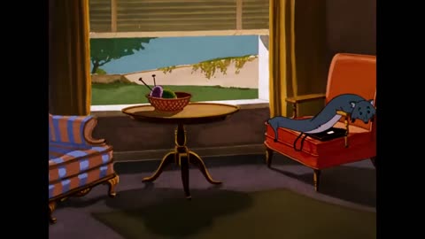 Tom___Jerry___Back_to_School_Special