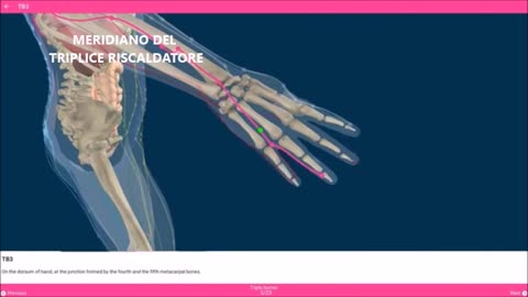 Tutti i meridiani del nostro corpo in 3D (Punto per punto)