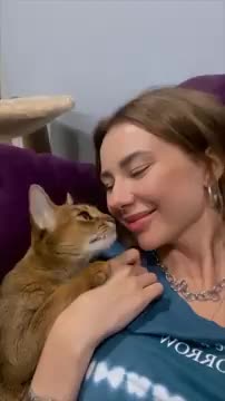 Cat Looks at Owner Lovingly Then Rubs and Snuggles