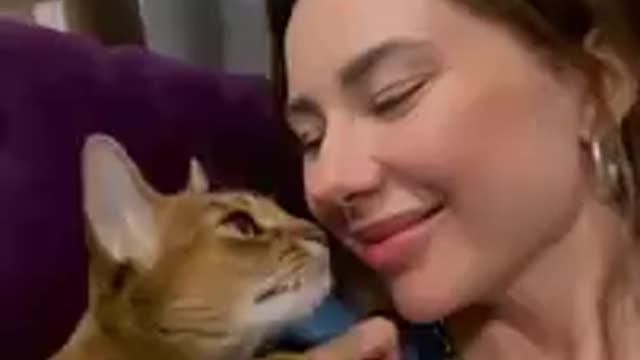 Cat Looks at Owner Lovingly Then Rubs and Snuggles