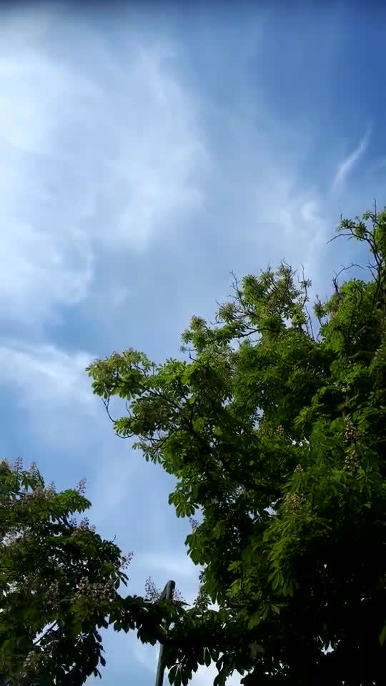 Himmel in Berlin 19. Mai 2022 etwa 16:45 Uhr