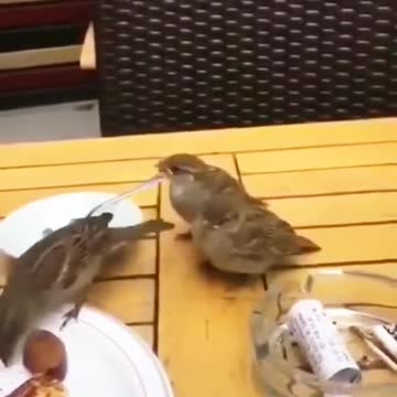 The only love I believe in is the love of a mother for her child.