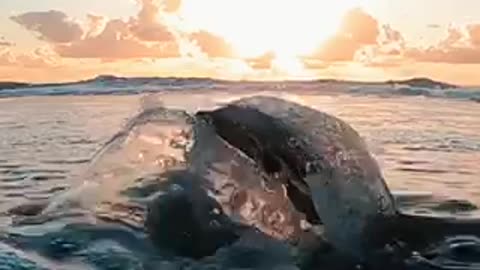 Diamond roll best video💎